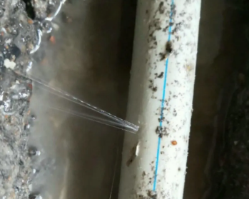 吴兴卫生间测漏水多少钱
