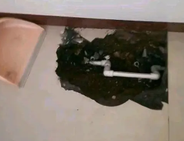 吴兴卫生间测漏水多少钱